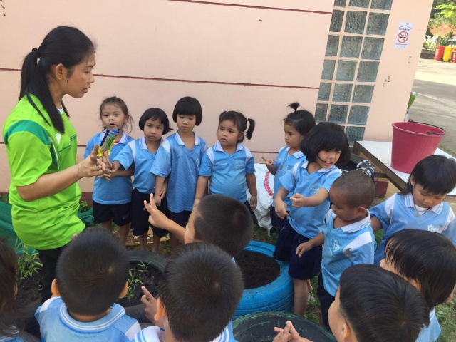 โครงการชวนน้องปลูกผักปลอดสารพิษ ปี62